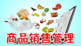 商品销售管理软件