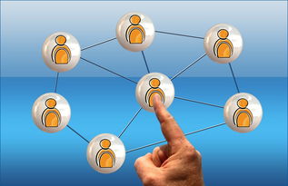 网络营销产品与软件销售全攻略 策略、工具与实战技巧